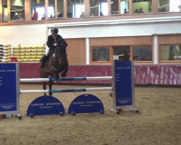 Springturnier Eicherloh - Laurent 2016