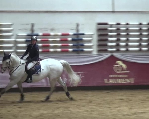 Springturnier Eicherloh - Laurent 2016