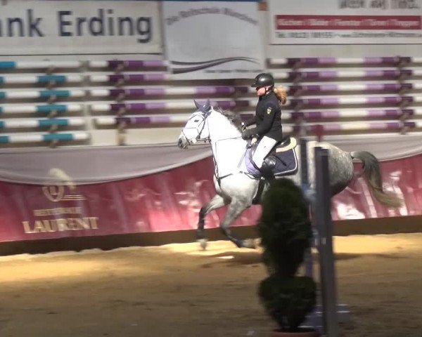 Springturnier Eicherloh - Laurent 2016
