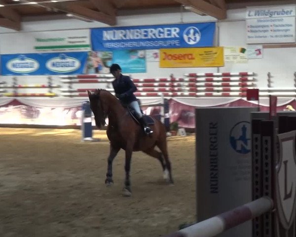 Springturnier Eicherloh - Laurent 2016