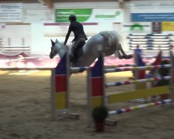Springturnier Eicherloh - Laurent 2016