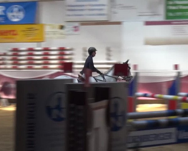 Springturnier Eicherloh - Laurent 2016