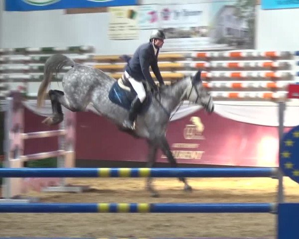 Springturnier Eicherloh - Laurent 2016