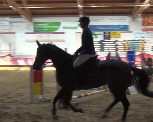 Springturnier Eicherloh - Laurent 2016