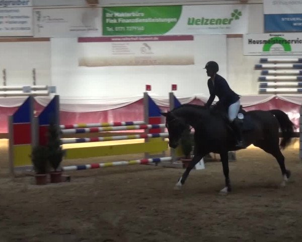 Springturnier Eicherloh - Laurent 2016