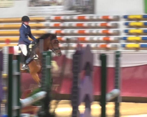 Springturnier Eicherloh - Laurent 2016