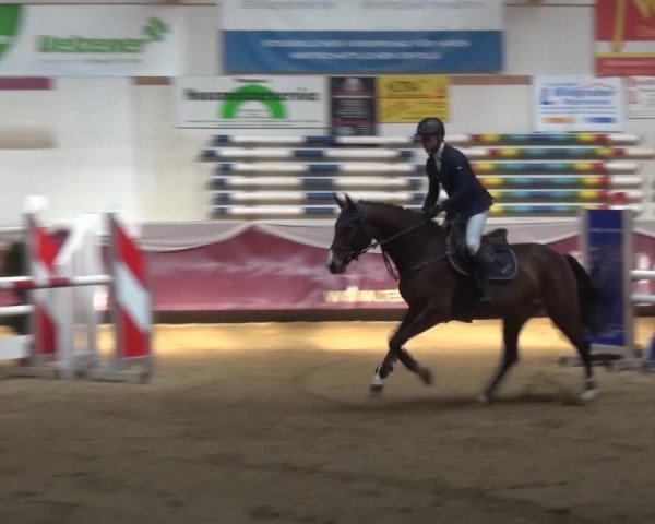 Springturnier Eicherloh - Laurent 2016