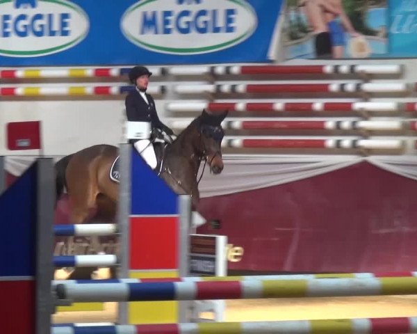 Springturnier Eicherloh - Laurent 2016