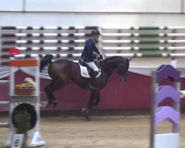 Springturnier Eicherloh - Laurent 2016