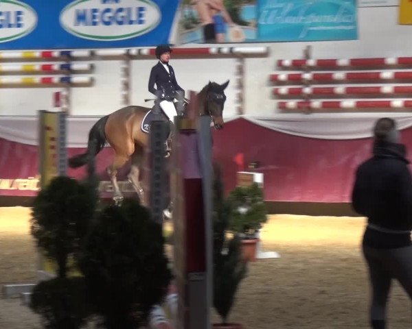 Springturnier Eicherloh - Laurent 2016