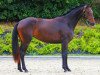 broodmare Jihlava Soul (Oldenburg, 2017, from Jazzman)