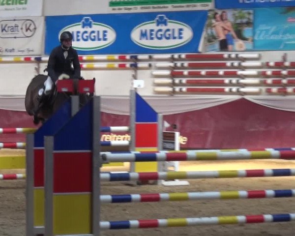Springturnier Eicherloh - Laurent 2016