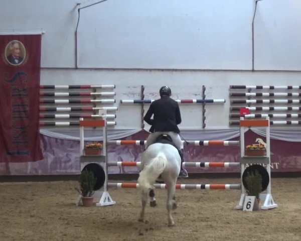 Springturnier Eicherloh - Laurent 2016