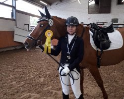 Zuchtstute Donna Doria E (Deutsches Reitpony, 2014, von Dimension AT NRW)