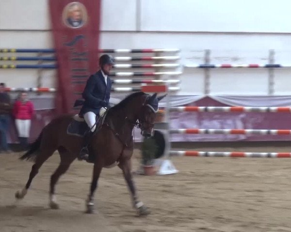 Springturnier Eicherloh - Laurent 2016