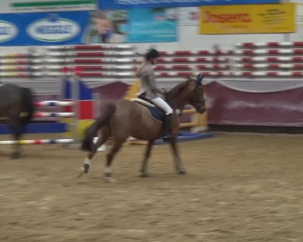 Springturnier Eicherloh - Laurent 2016