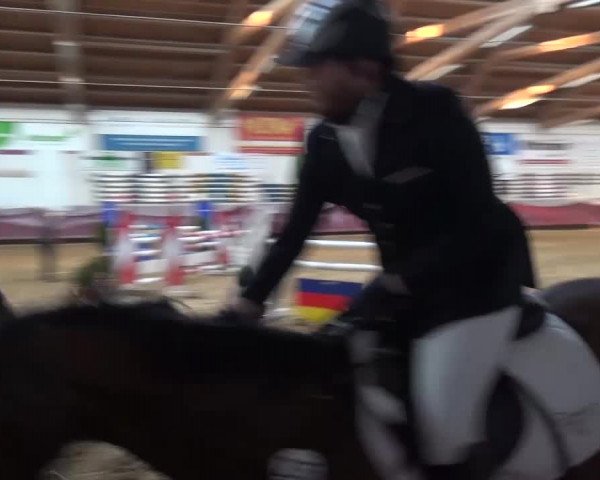 Springturnier Eicherloh - Laurent 2016