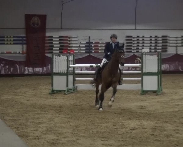 Springturnier Eicherloh - Laurent 2016