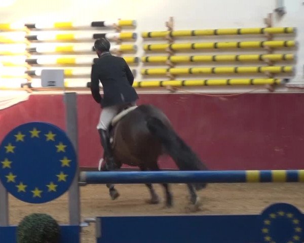 Springturnier Eicherloh - Laurent 2016