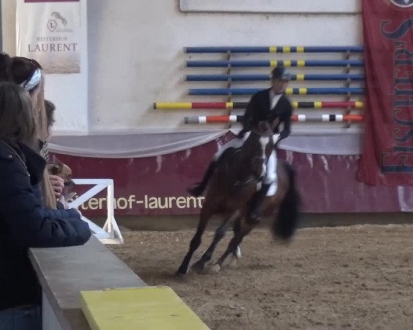 Springturnier Eicherloh - Laurent 2016