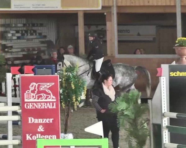 Reitturnier Dettingen 2016