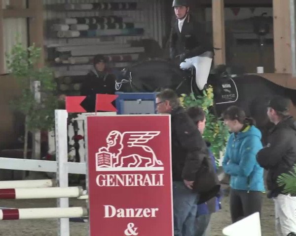 Reitturnier Dettingen 2016