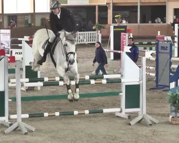 Reitturnier Dettingen 2016