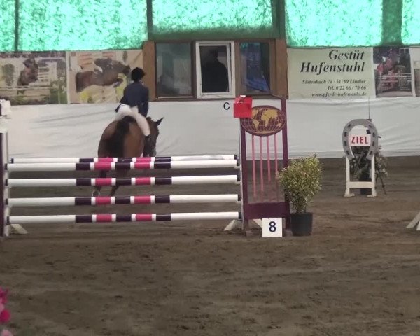 Reitturnier Lindlar-Süttenbach 2016