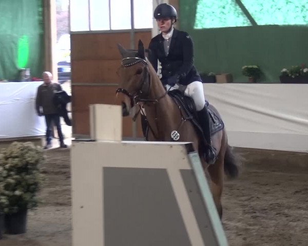 Reitturnier Lindlar-Süttenbach 2016