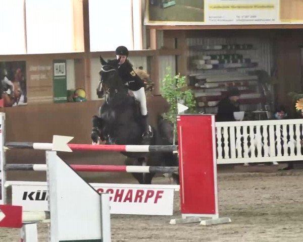 Reitturnier Dettingen 2016