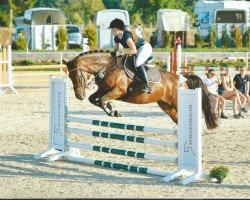 jumper Cantoblanca (Oldenburg, 2010, from Cantoblanco)