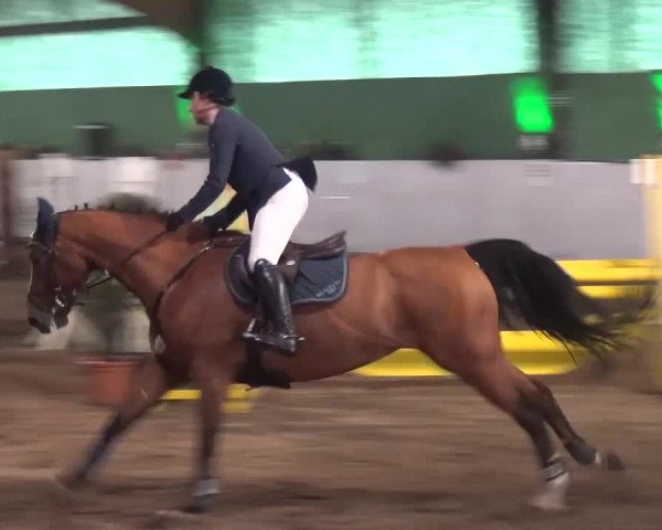 Reitturnier Lindlar-Süttenbach 2016