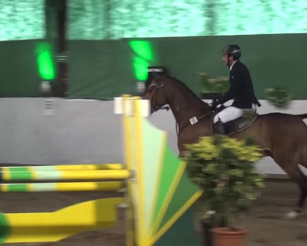 Reitturnier Lindlar-Süttenbach 2016