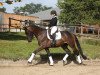 dressage horse Laurentin (Trakehner, 2016, from Schwarzgold)