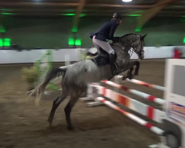 Reitturnier Lindlar-Süttenbach 2016