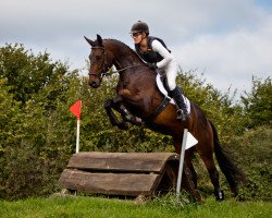 jumper Crane 3 (Trakehner, 2014, from Schwarzgold)