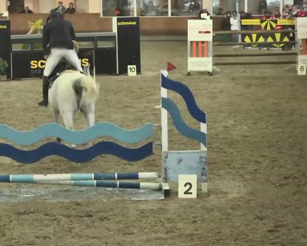 Reitturnier Dettingen 2016