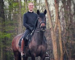 dressage horse Currita (Cruzado-Espanol, 2014)