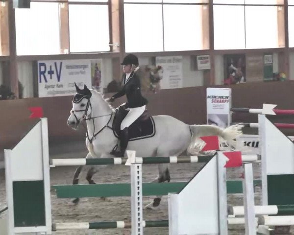 Reitturnier Dettingen 2016
