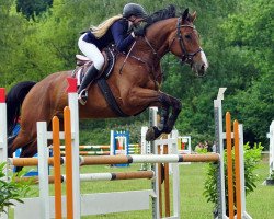 jumper Diabolo de Semilly (Holsteiner, 2012, from Diamant de Semilly)