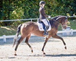 dressage horse Fleur d'espoir (German Sport Horse, 2015, from Follow Me OLD)