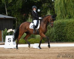 dressage horse La Ola 13 (Württemberger, 2013, from Lord Leopold 7)