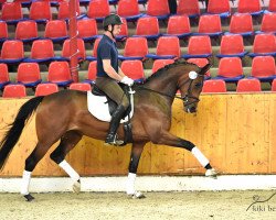 broodmare Metallia (Oldenburg, 2013, from Métall)