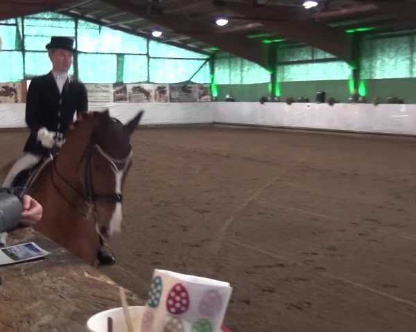 Reitturnier Lindlar-Süttenbach 2016