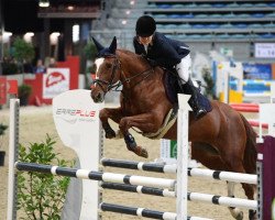 jumper Girlfriend (Irish Sport Horse, 2005, from Classic Vision)