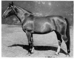 broodmare Flanitza (Hanoverian, 1935, from Flak)