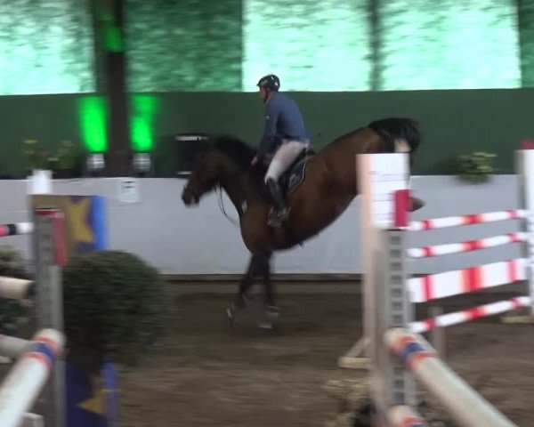 Reitturnier Lindlar-Süttenbach 2016
