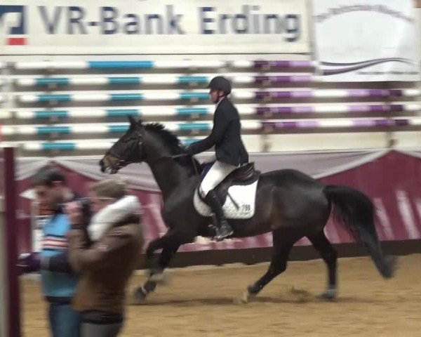 Springturnier Eicherloh - Laurent 2016