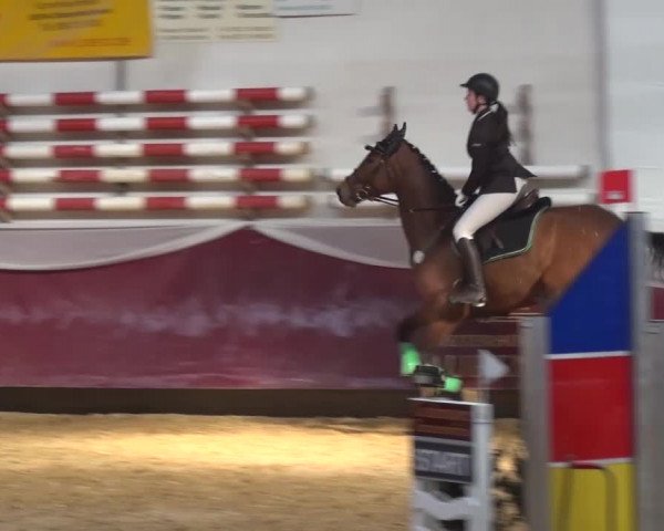 Springturnier Eicherloh - Laurent 2016