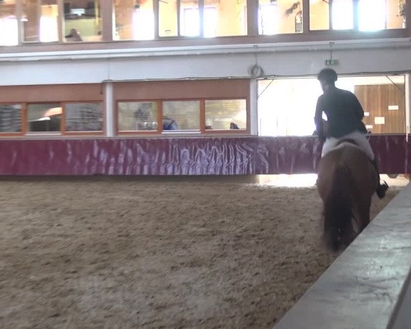 Springturnier Eicherloh - Laurent 2016